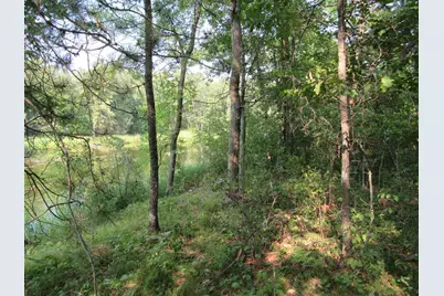 Lots 5-11 Tbd Front Stree Front Street, Pine River, MN 56474 - Photo 6