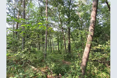 Lots 5-11 Tbd Front Stree Front Street, Pine River, MN 56474 - Photo 4