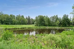 40335 Government Rd, Hinckley, MN 55037 - Photo 112