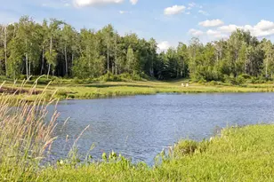 40335 Government Rd, Hinckley, MN 55037 - Photo 4