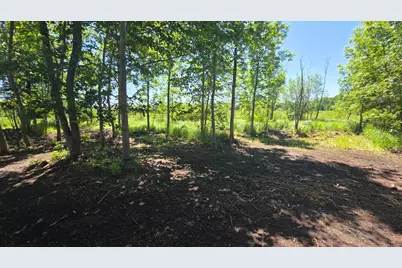 129Xx W Abbey Lake Lane, Detroit Lakes, MN 56501 - Photo 12