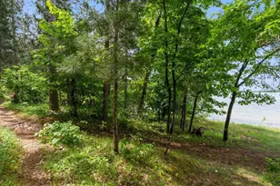 36003 Schaller Ln, Pequot Lakes, MN 56472 - Photo 10