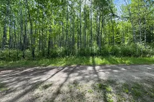 60905 Bearville Trl, Cook, MN 55723 - Photo 28