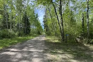 60905 Bearville Trl, Cook, MN 55723 - Photo 26