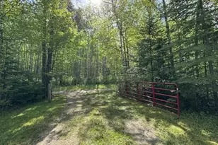 60905 Bearville Trl, Cook, MN 55723 - Photo 24