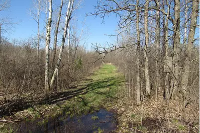 Tbd-1 County Road 41, Willow River, MN 55795 - Photo 6