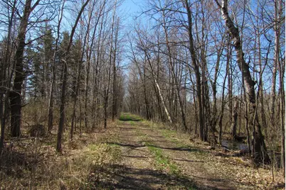 Tbd-2 County Road 41, Willow River, MN 55795 - Photo 6