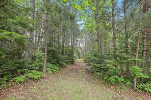 51946 N Wasson Lake Rd, Bigfork, MN 56628 - Photo 32