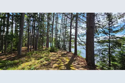 51946 N Wasson Lake Rd, Bigfork, MN 56628 - Photo 6