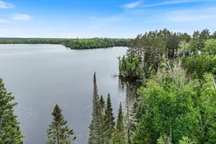 51946 N Wasson Lake Rd, Bigfork, MN 56628 - Photo 46