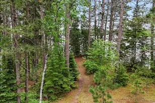 51946 N Wasson Lake Rd, Bigfork, MN 56628 - Photo 34