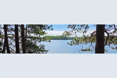 51946 N Wasson Lake Rd, Bigfork, MN 56628 - Photo 50