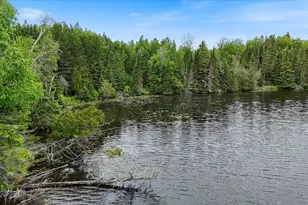 51946 N Wasson Lake Rd, Bigfork, MN 56628 - Photo 48