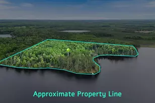 51946 N Wasson Lake Rd, Bigfork, MN 56628 - Photo 44