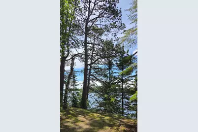 51946 N Wasson Lake Rd, Bigfork, MN 56628 - Photo 38