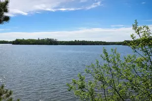 51946 N Wasson Lake Rd, Bigfork, MN 56628 - Photo 52