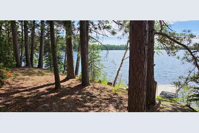 51946 N Wasson Lake Rd, Bigfork, MN 56628 - Photo 8