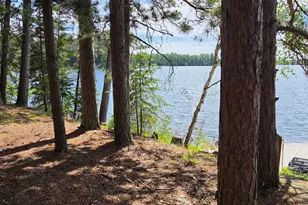 51946 N Wasson Lake Rd, Bigfork, MN 56628 - Photo 8