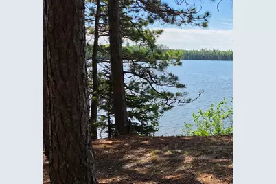 51946 N Wasson Lake Rd, Bigfork, MN 56628 - Photo 36