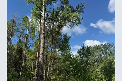 1576 County Road 8, Holyoke, MN 55749 - Photo 2