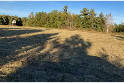 Tbd Hummingbird Road, Braham, MN 55006 - Photo 10