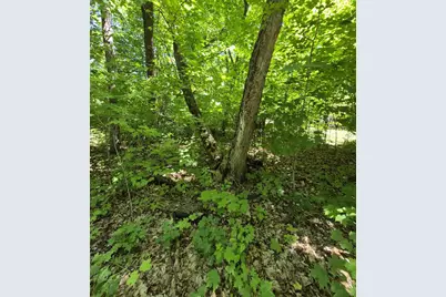 Tbd Lot 309 197th Avenue, McGregor, MN 55760 - Photo 2