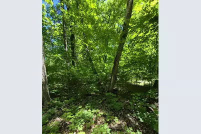 Tbd Lot 309 197th Avenue, McGregor, MN 55760 - Photo 6