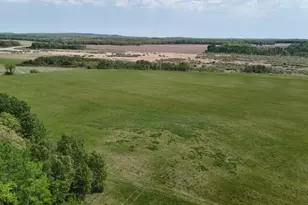 Tbd County Hwy 36, Frazee, MN 56544 - Photo 1