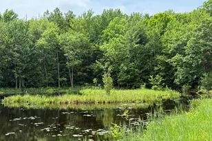 N1785 Lehman Lake Rd, Shell Lake, WI 54871 - Photo 56