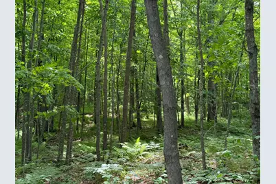 N1785 Lehman Lake Road, Shell Lake, WI 54871 - Photo 60