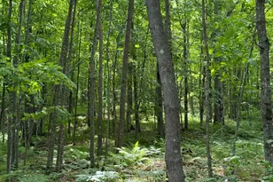 N1785 Lehman Lake Rd, Shell Lake, WI 54871 - Photo 60