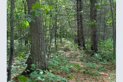 N1785 Lehman Lake Road, Shell Lake, WI 54871 - Photo 58
