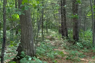 N1785 Lehman Lake Rd, Shell Lake, WI 54871 - Photo 58
