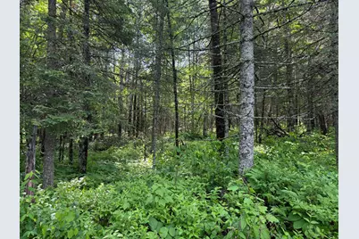Tbd Arnold Rd., Duluth, MN 55803 - Photo 26