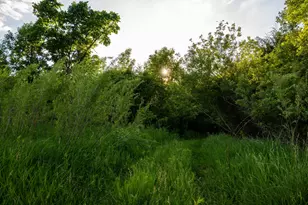 1593 N Pine Cone Rd, Sartell, MN 56377 - Photo 26