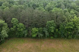 8343 Timber Ln, Nisswa, MN 56468 - Photo 44