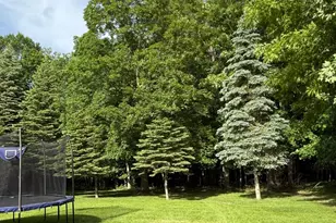 13453 Co Hwy 11, Audubon, MN 56511 - Photo 26