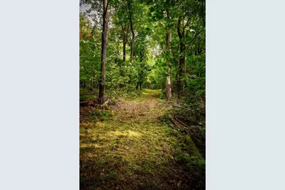 Xxxxx 407th Street, Dent, MN 56528 - Photo 36