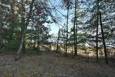 Lot 3 N Bass Lake Road, Webster, WI 54893 - Photo 8