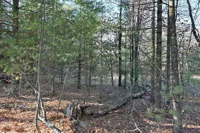 Lot 3 N Bass Lake Road, Webster, WI 54893 - Photo 6