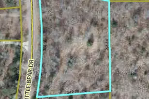 Lot 27 Little Bear Dr, Danbury, WI 54830 - Photo 1