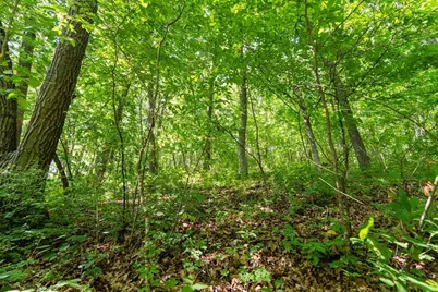 W9204 Big Coulee Road, Arkansaw, WI 54721 - Photo 20