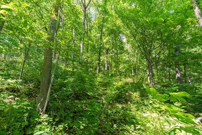 W9204 Big Coulee Road, Arkansaw, WI 54721 - Photo 18