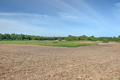 Tbd N Rush Point Drive W, Stanchfield, MN 55080 - Photo 10