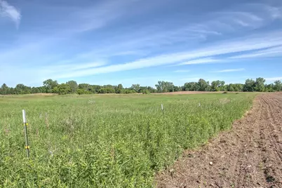 Tbd N Rush Point Drive W, Stanchfield, MN 55080 - Photo 18