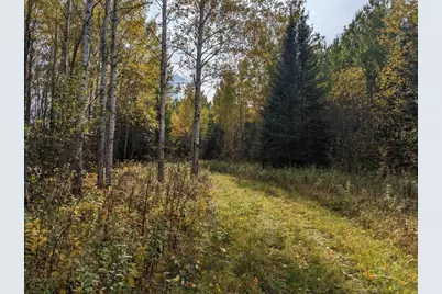 Tbd Deer River Line, Littlefork, MN 56653 - Photo 10