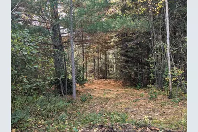 Tbd Deer River Line, Littlefork, MN 56653 - Photo 12