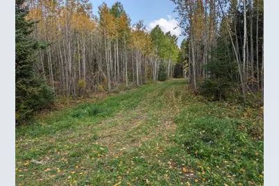 Tbd Deer River Line, Littlefork, MN 56653 - Photo 2