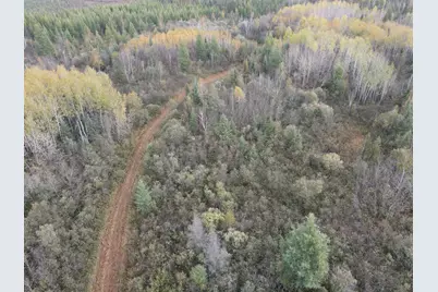 Tbd Deer River Line, Littlefork, MN 56653 - Photo 14