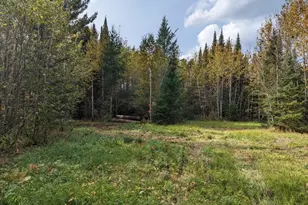 Tbd Deer River Line, Littlefork, MN 56653 - Photo 1